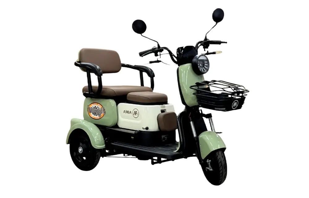 Triciclo Elétrico Mike 650W