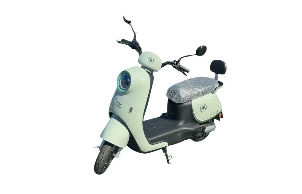 Scooter Elétrica Bliss 800W